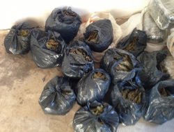 Bismil`de 53 kilo esrar yakalandı
