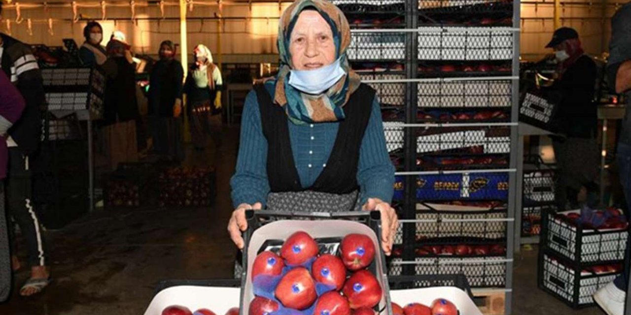 78 yaşındaki Şerife nine çalışma azmiyle göz dolduruyor