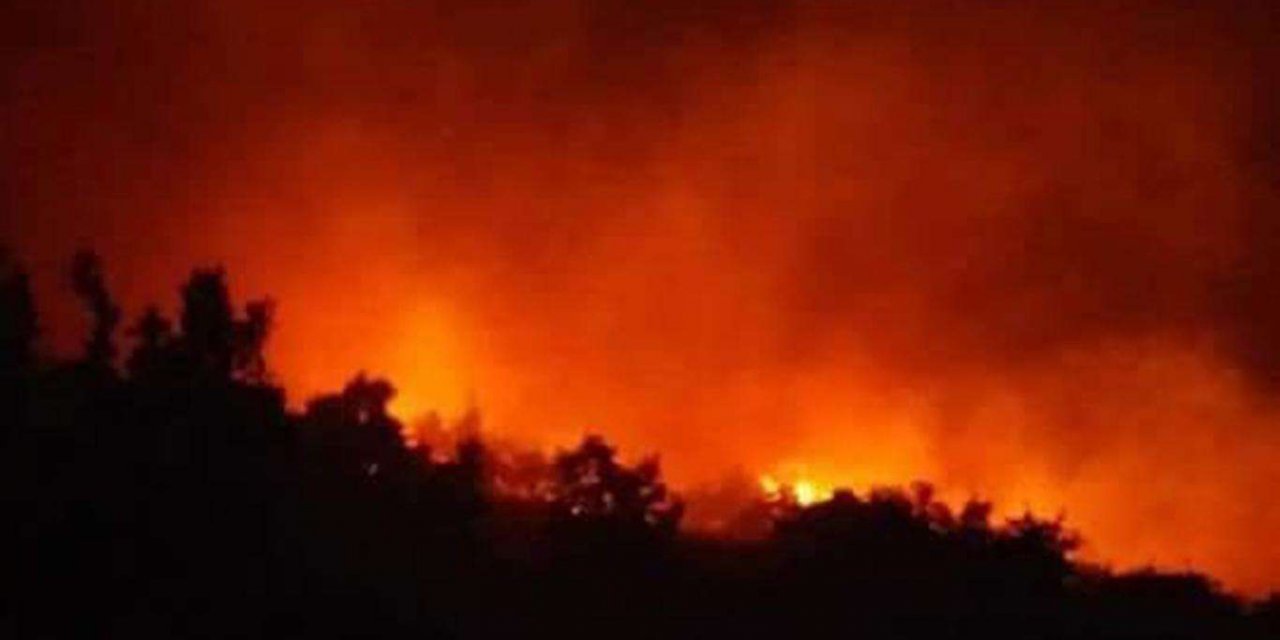 Aydos Ormanında yangın çıktı