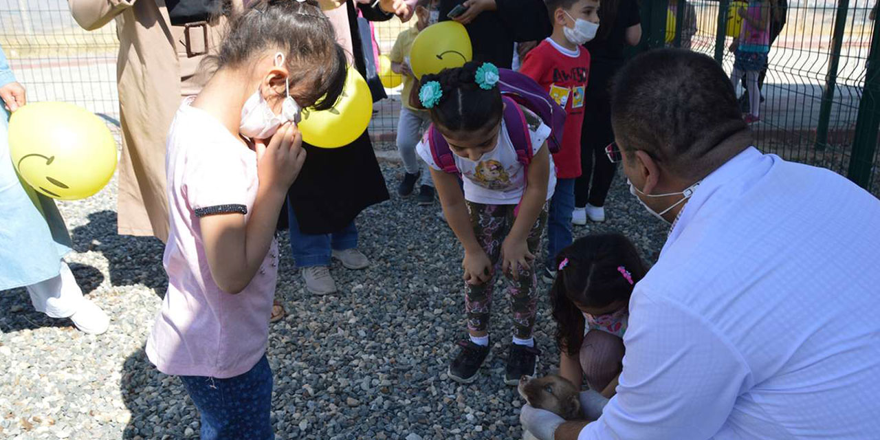 Siirt’te çocuklar hayvan barınağını gezip, sokak hayvanlarını besledi