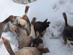 Eksi 110 dereceye kadar sıcak tutuyor