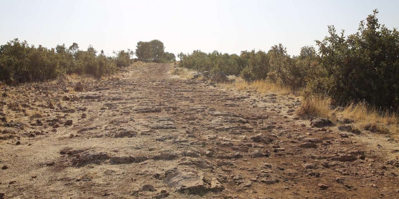 Pire Kureyş ziyaret yolu bakımsızlıktan kullanılamaz hale geldi
