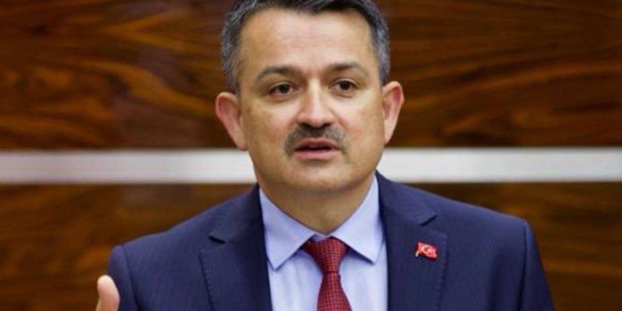 Bakan Pakdemirli'den Hatay'daki orman yangınına ilişkin açıklama