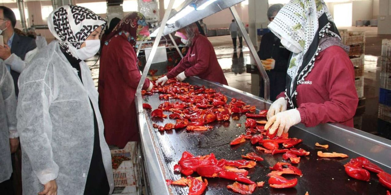 Malatya’da TKDK desteğiyle 3 bin istihdam oluştu