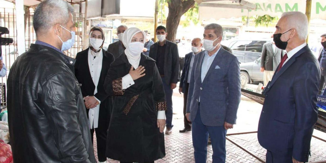 AK Partili Çalık'dan, PKK'nin orman yakmasına sessiz kalan çevrecilere tepki