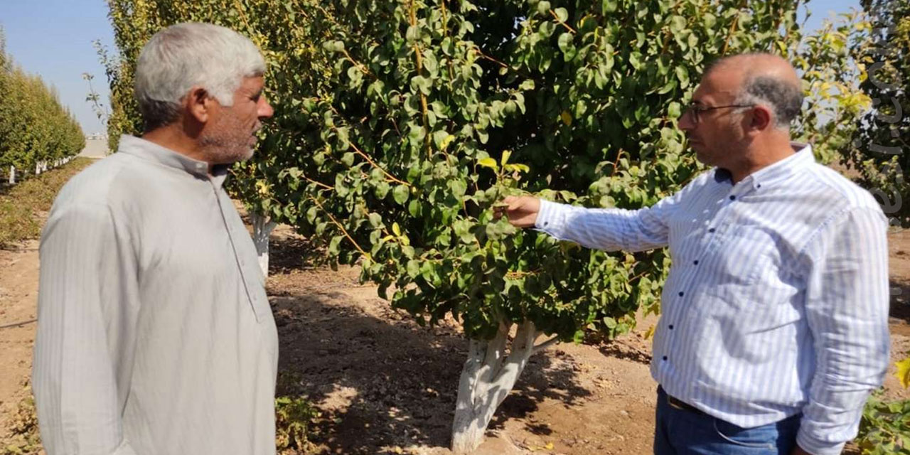 Barış Pınarı Bölgesinde tarım ve hayvancılıkla uğraşanlara destek veriliyor