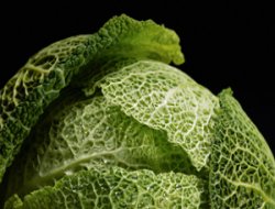 Kemik erimesinin ilacı lahana!