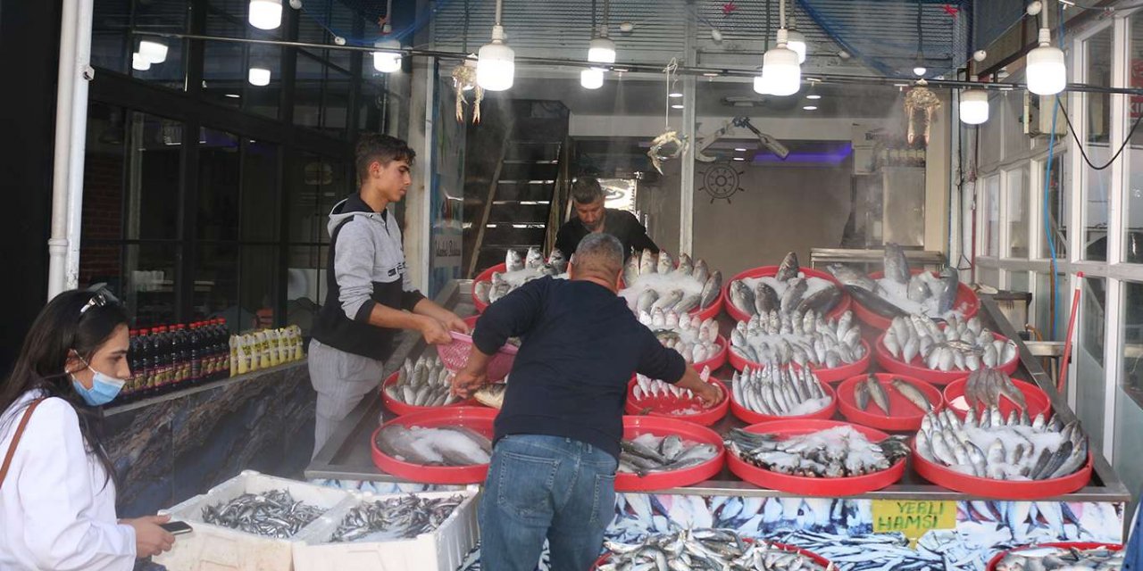 Şanlıurfa’da havaların soğumasıyla birlikte balık satışları başladı