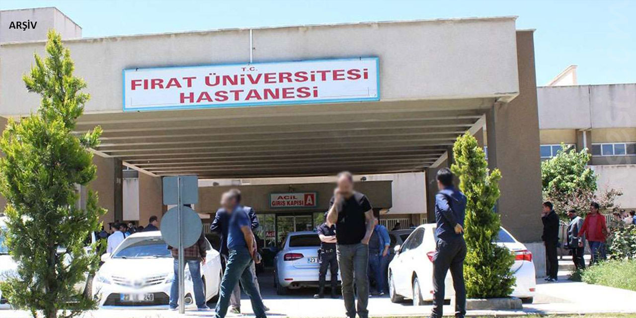Maden'de ceviz ağacından düşen Akif Cihan hayatını kaybetti