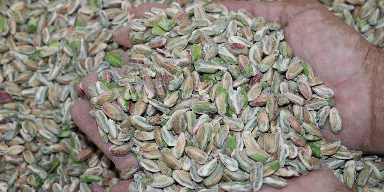 Üretici ve tüccar, Antep fıstığına sahip çıkın çağrısında bulundu