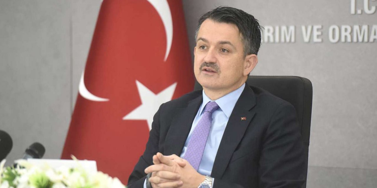 Türkiye'de her yıl yaklaşık 19 milyon ton gıda israf ediliyor