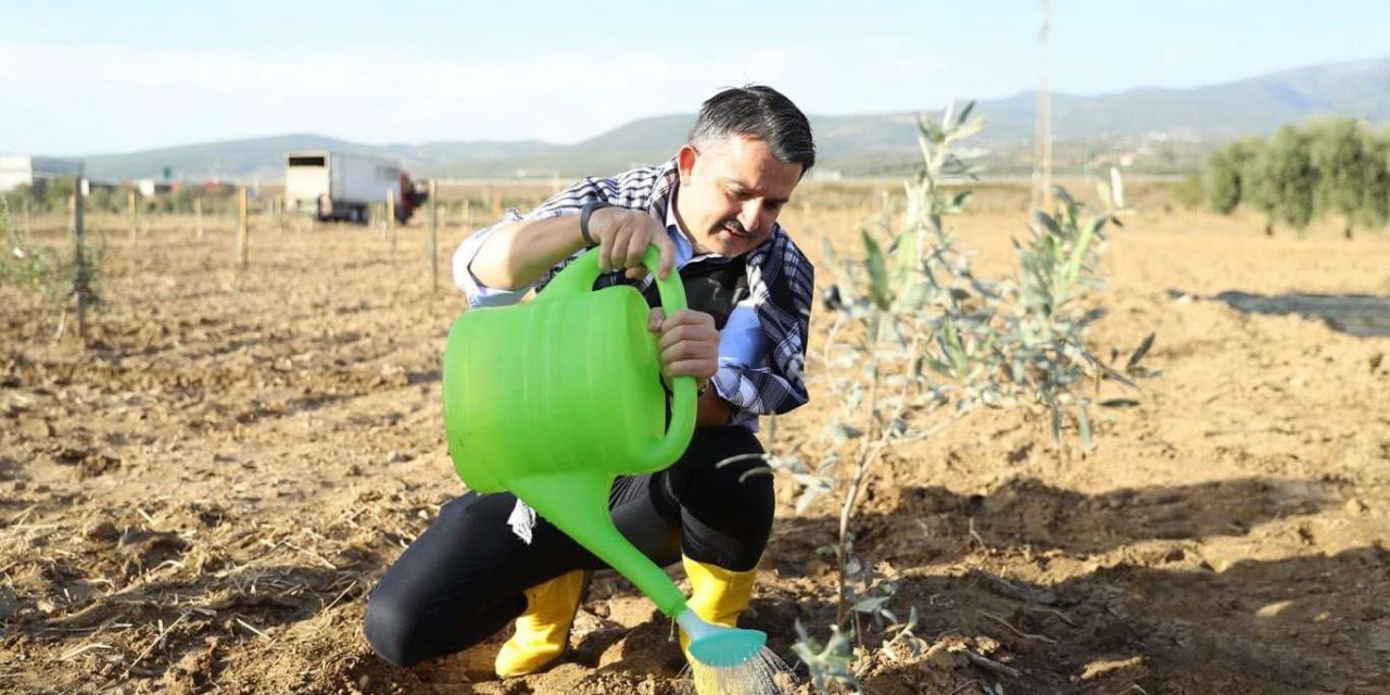 Dünya Zeytin Koleksiyonu'nun açılışı ve yeni zeytin çeşitlerinin tanıtımı yapıldı