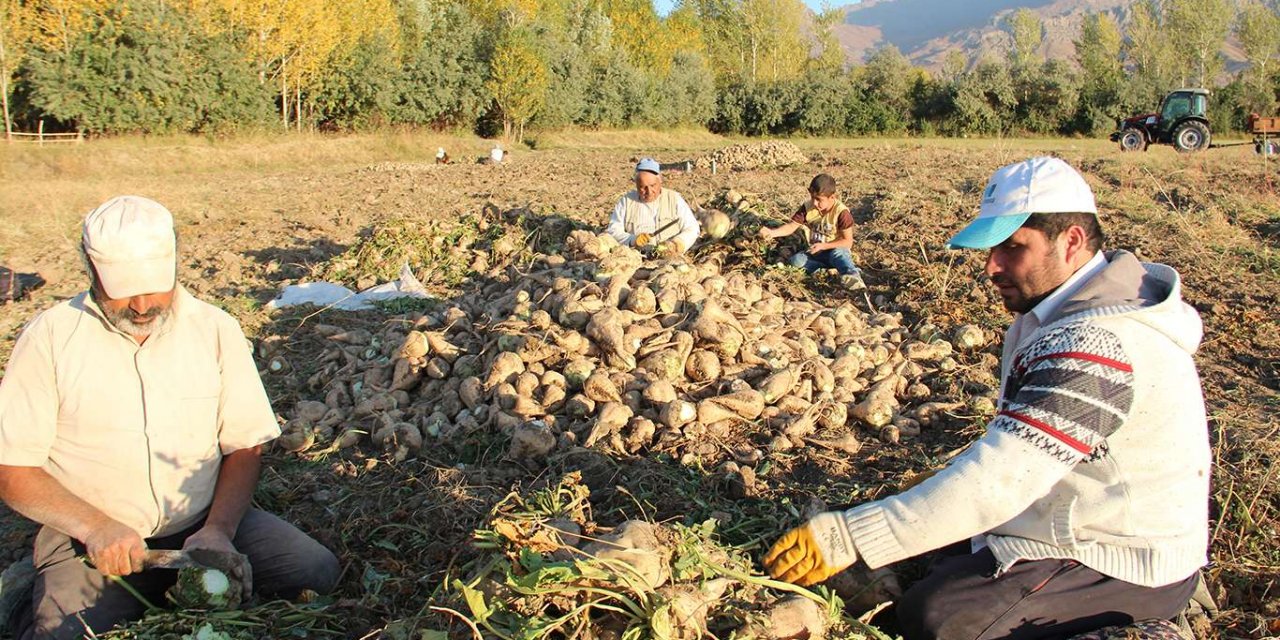 Şeker pancarı üreticisi, üretime devam edebilmek için destek bekliyor