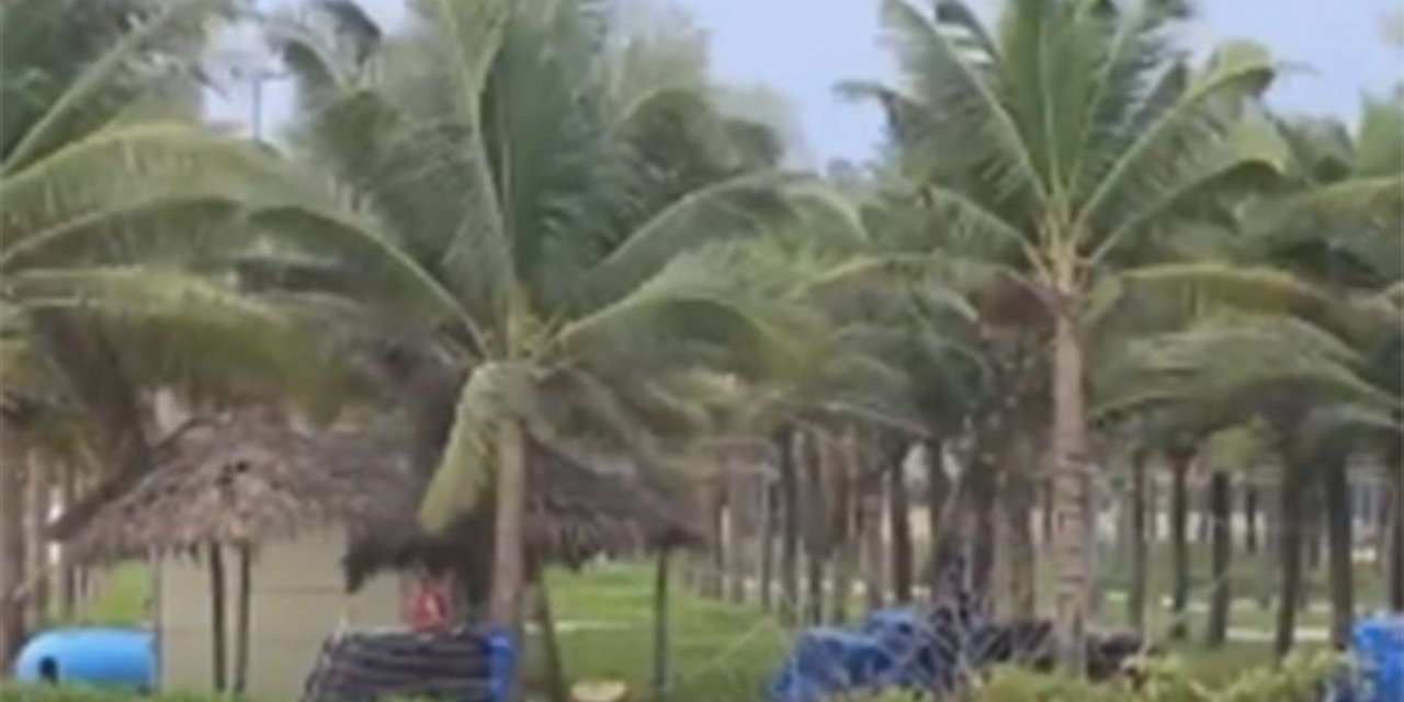 Vietnam'da Molave Kasırgası yaklaşırken yarım milyondan fazla insan tahliye ediliyor