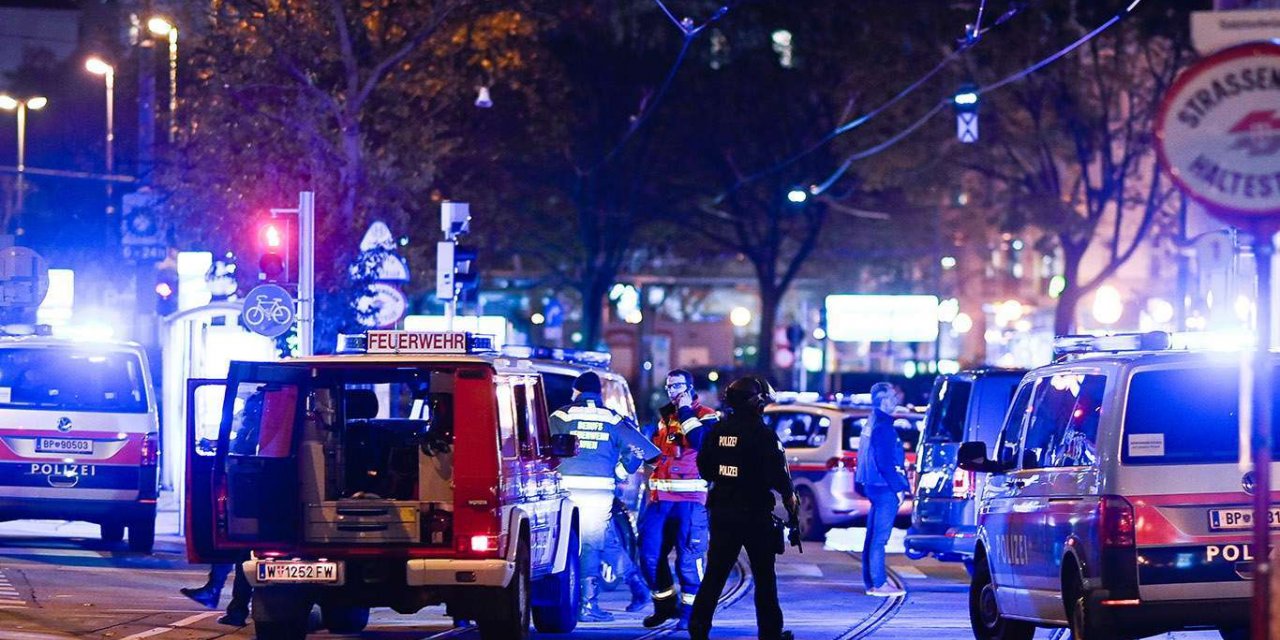 3 people killed, 15 injured in Vienna shootings