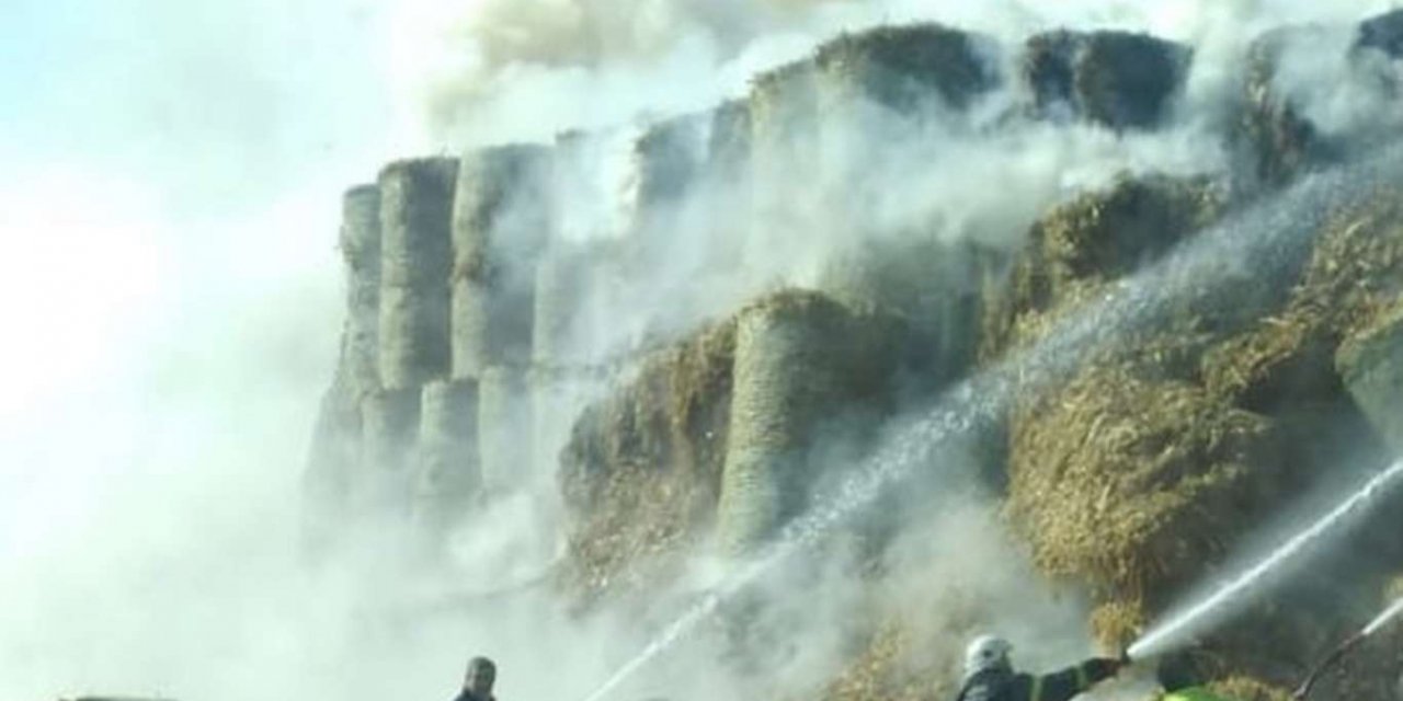 Adana’da biyokütle enerji tesisinde çıkan yangın devam ediyor