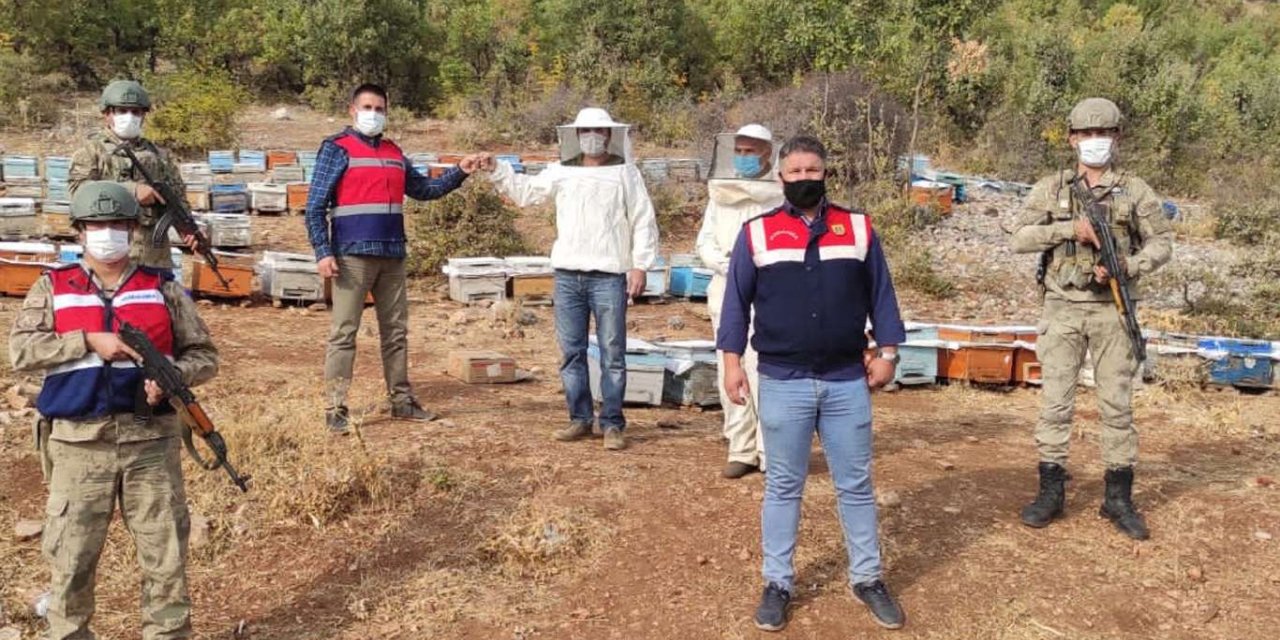 Batman'da çalınan arı kovanları bulundu