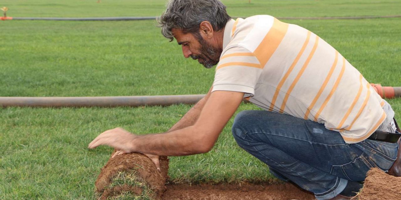 Mardin’de üretilen çim yurt dışına ihraç ediliyor