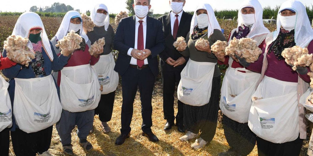 Adana’da pamuk hasat günü düzenlendi
