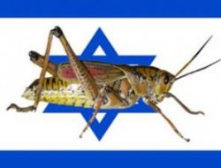 İsrailliler neden çekirge yiyor?