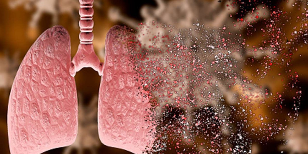 Pandemi ile mücadelede akciğer sağlığına dikkat edilmeli!
