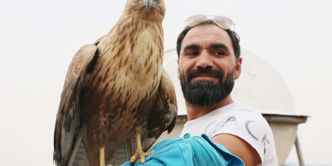 Kızıltepe'de yaralı halde bulunan yavru kartal evcilleştirildi