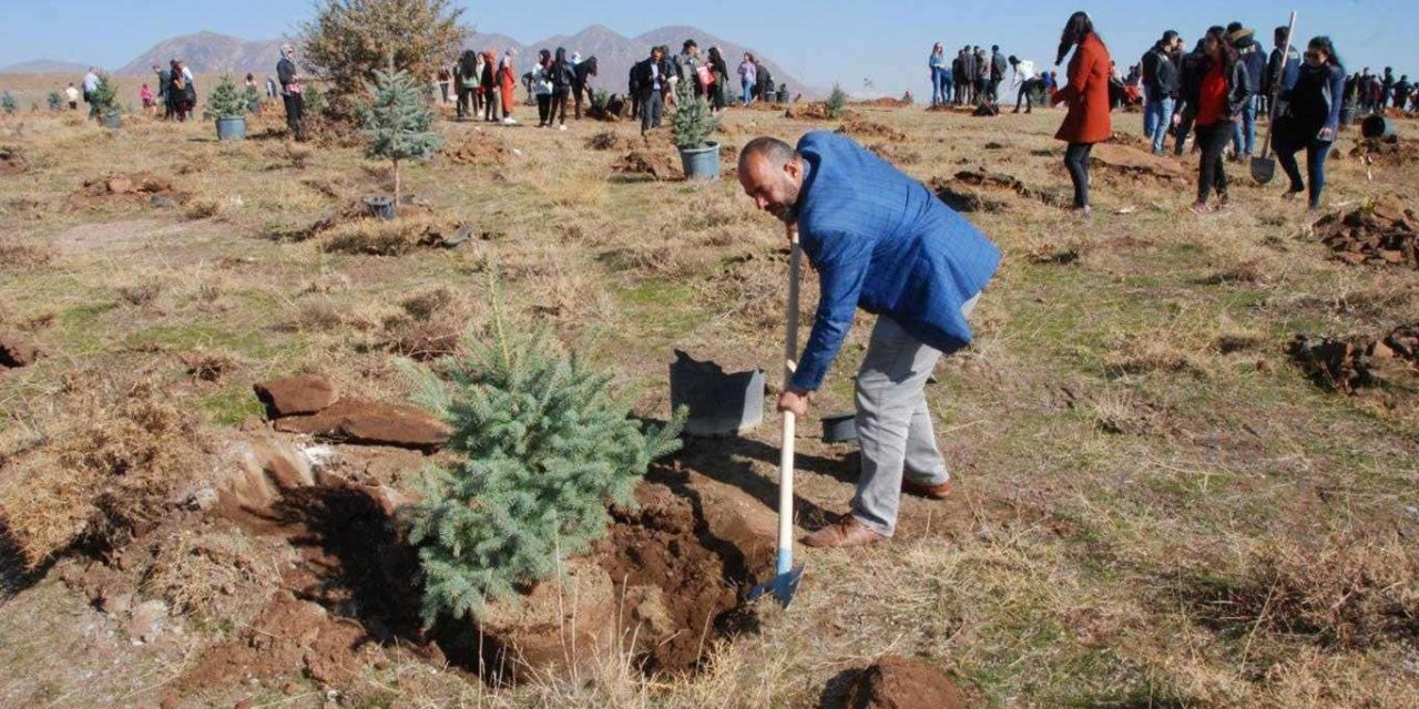 Milli Ağaçlandırma Günü'nde 83 milyon fidan toprakla buluşacak