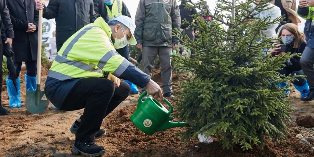 İstanbul'da 160 bin fidan aynı anda toprakla buluştu