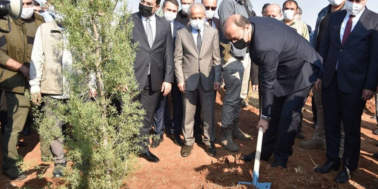 Şanlıurfa'da amaç yıl sonuna kadar 5 milyon fidan dikmek