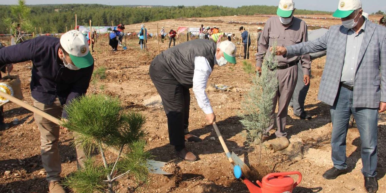 Adana'da 50 bin fidan toprakla buluştu