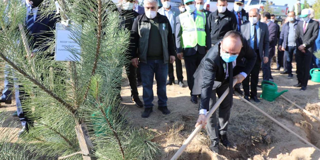 Elazığ’da 223 bin fidan toprakla buluşturulacak