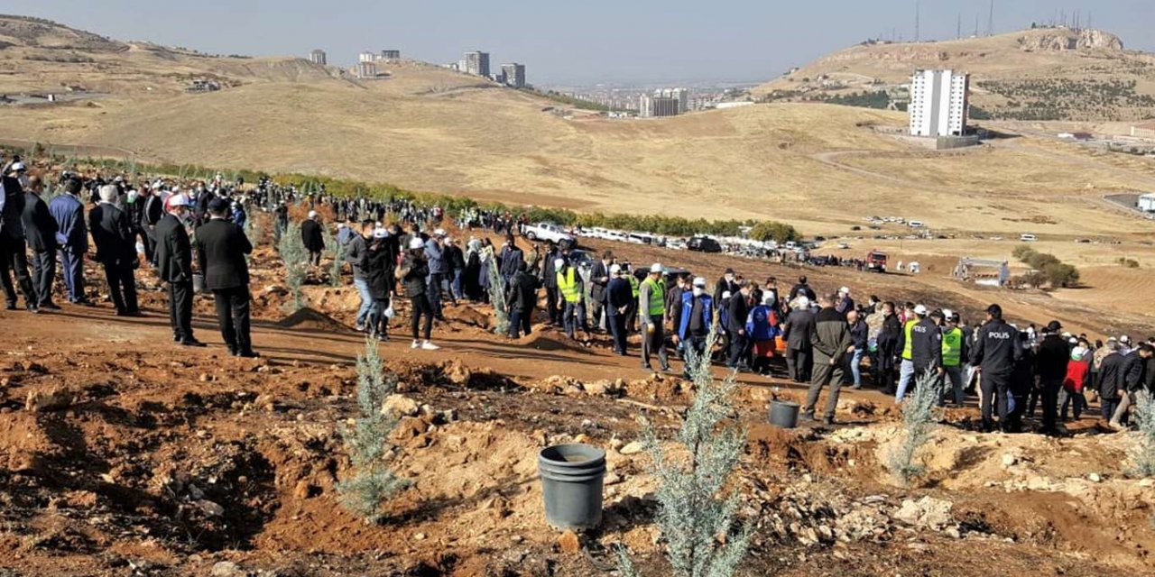 Malatya'da binlerce fidan toprakla buluştu