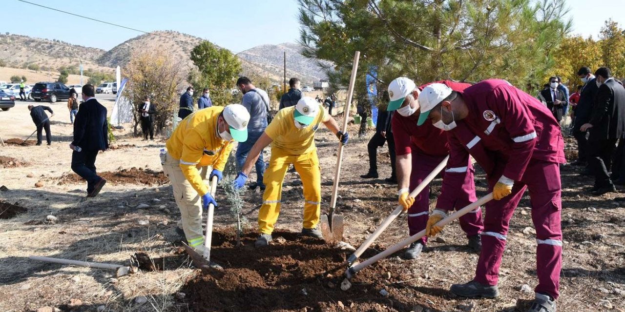 Adıyaman'da 82 bin fidan toprakla buluşturuldu