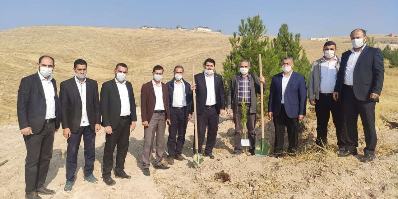 İslam medeniyetinin fidan dikmeye büyük bir önem verdiği belirtildi