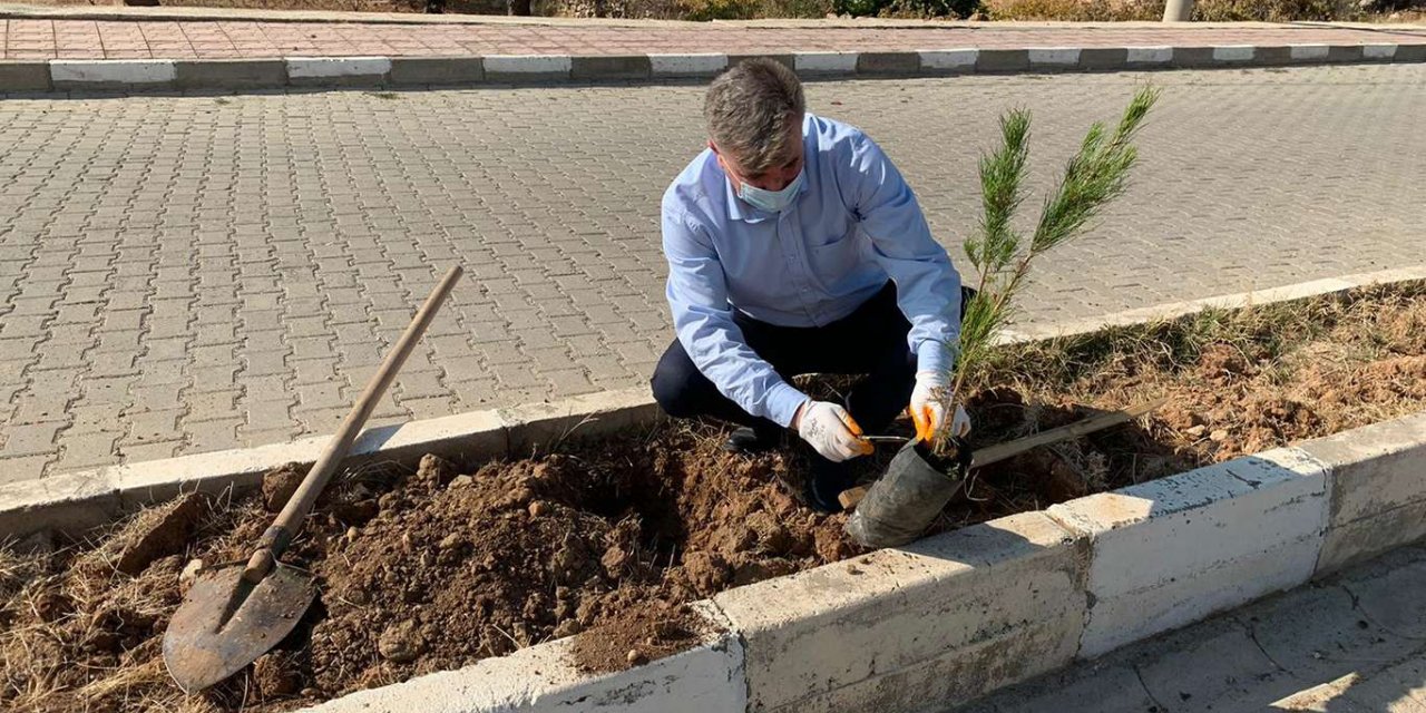 Ağaçlandırma seferberliğine Kayapınar’da katıldı
