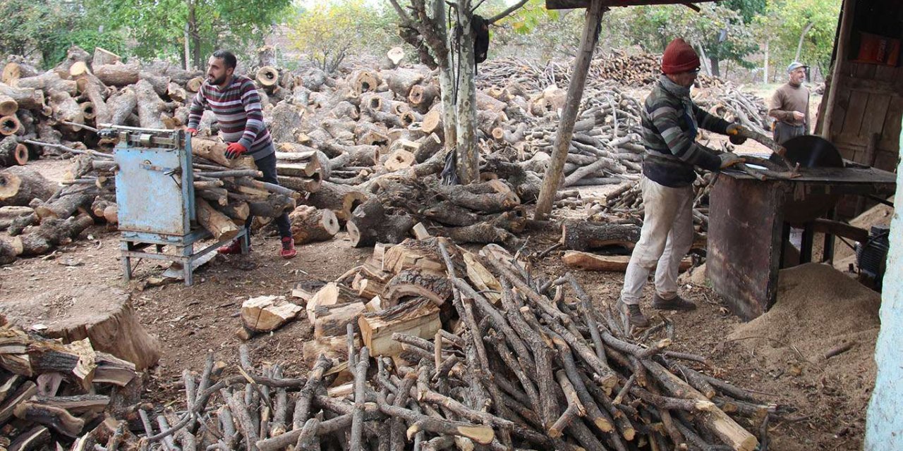 Diyarbakır'daki oduncu esnafı bu yılki satışlardan memnun