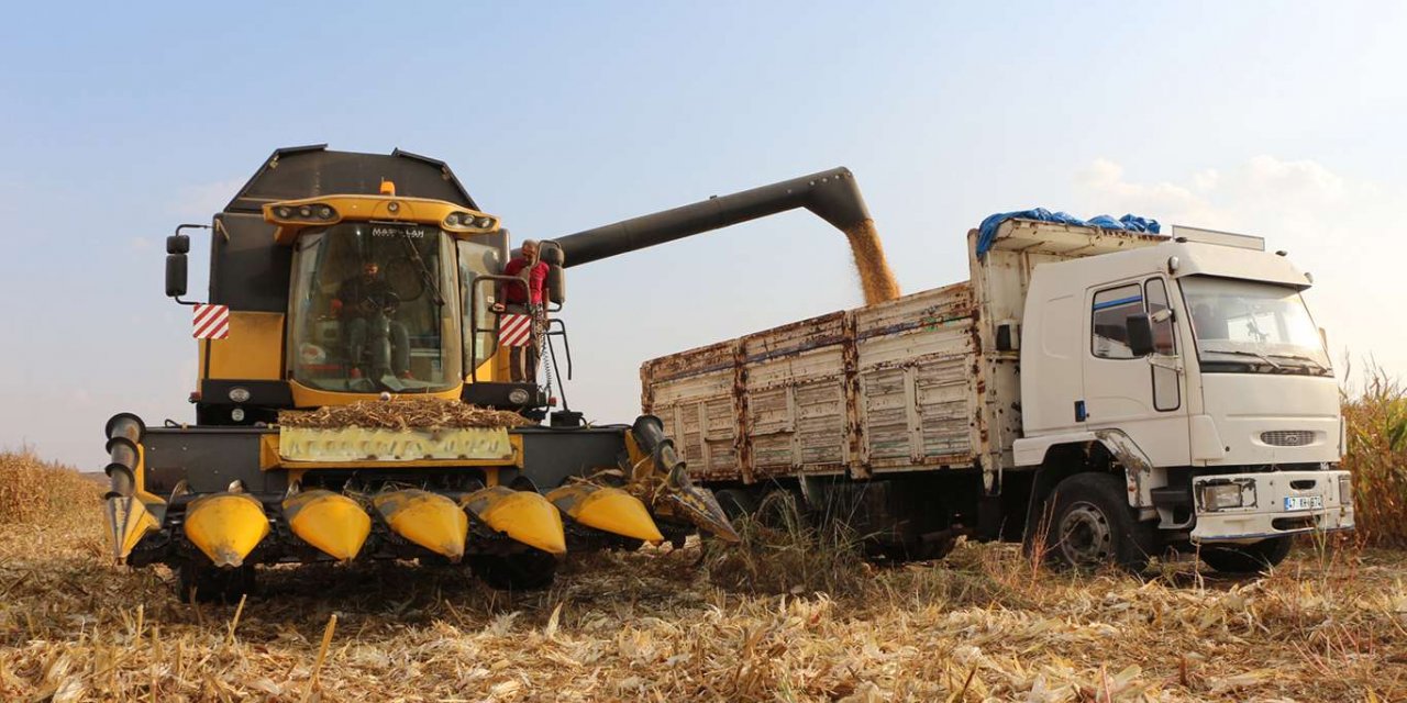 Hasadına başlanan mısırda elektrik sorunundan kaynaklı ciddi verim kaybı yaşandı