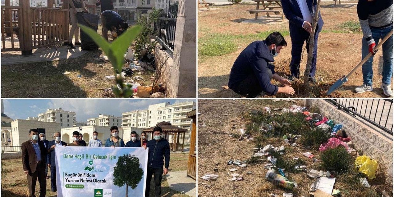 Önce çöp topladılar sonra fidan diktiler