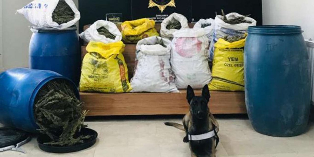 Şanlıurfa'da yol kontrollerinde 84 kilogram esrar ele geçirildi