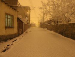 Van'da mart kapıdan baktırdı