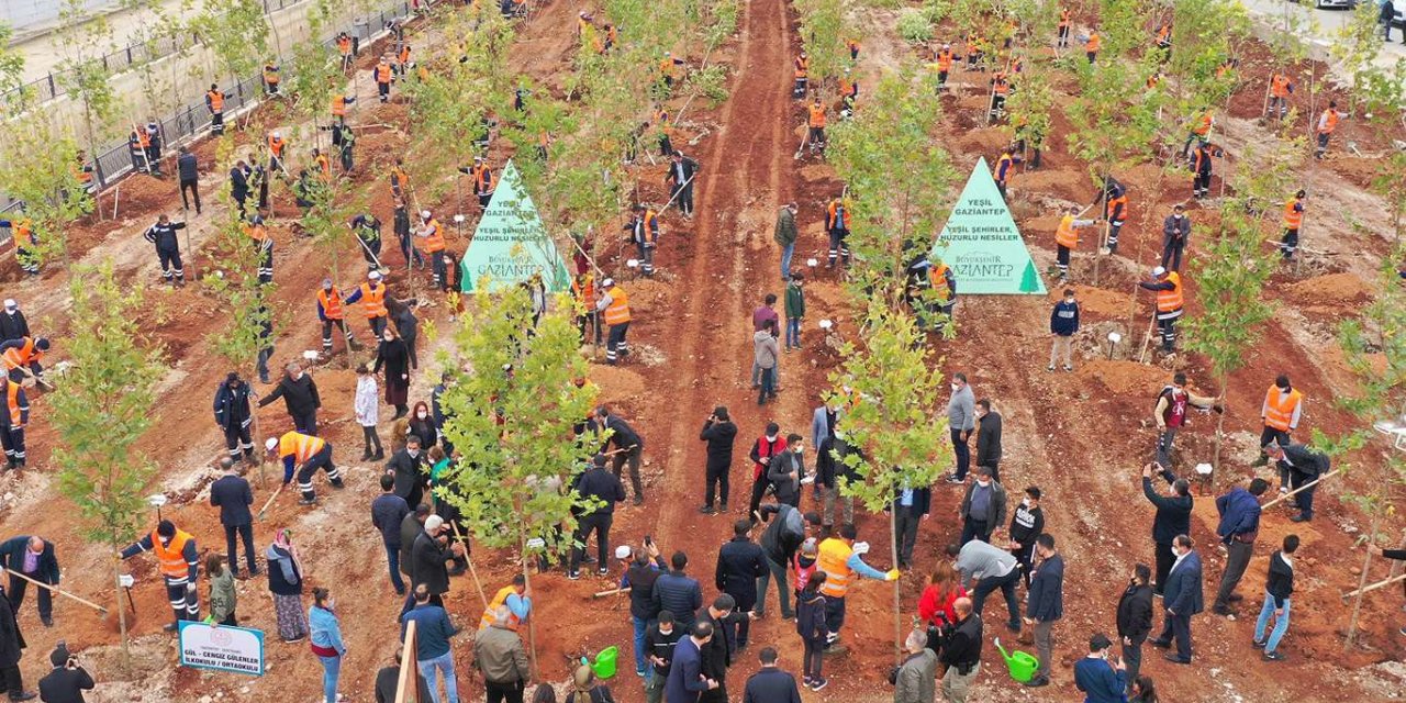 Gaziantep'in orman varlığı artıyor