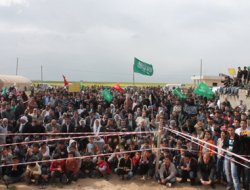 Kızıltepe'de Kutlu Doğum coşkusu video