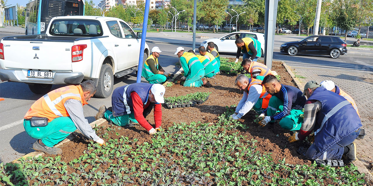 Diyarbakır Büyükşehir Belediyesi 1 milyon 250 bin çiçek dikecek