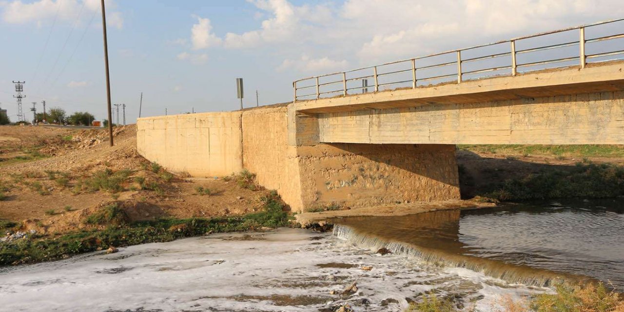 Hastalık saçan Zergan Deresi ıslah edilmeyi bekliyor