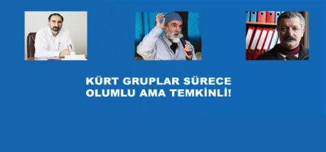 BDP Dışındaki Kürt Gruplar Olumlu Ama Temkinli