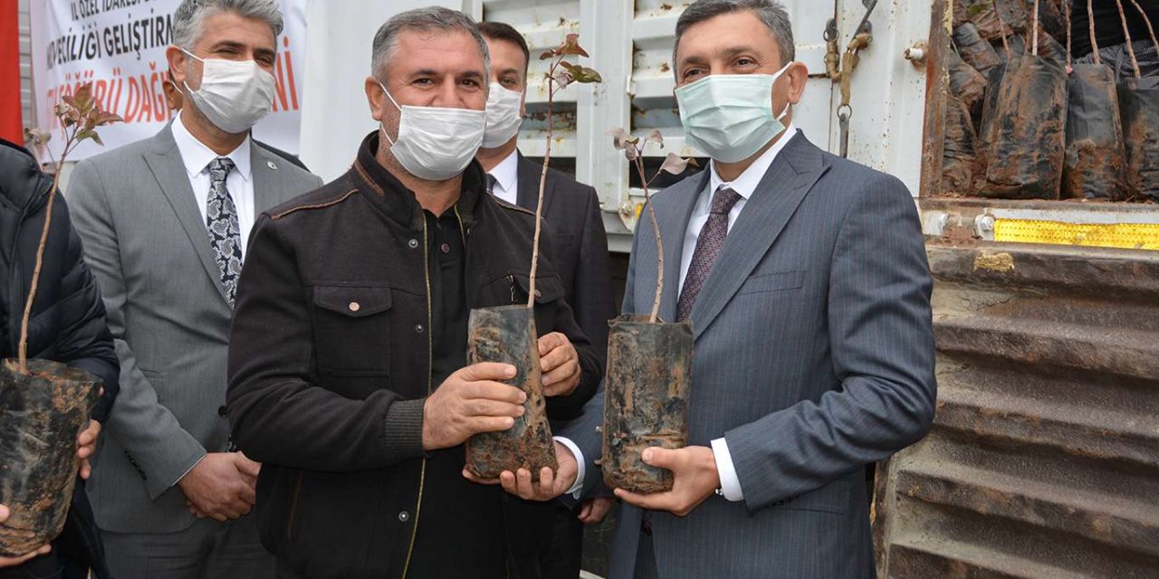 Batman Valisi Şahin ilgi nedeniyle fıstıkta Siirt’i yakalayacaklarını söyledi