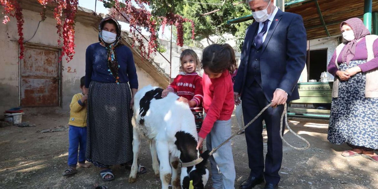 Gaziantep’te hayvan yetiştiricilerine destek devam ediyor