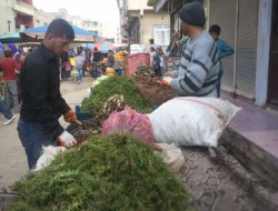 Viranşehir'de Kenger satarak geçiniyorlar