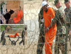 Greva Birçîbûnê a Li Guantanamo