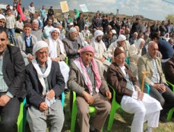 Tarihi Dara köyünde kutlu doğum sevinci video